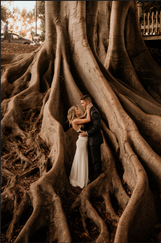 The Wedding Website of Loren Long and Chelsea Fowler