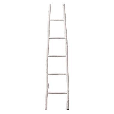 Creative Co-op Decorative Painter Wood Blanket Ladder, White
