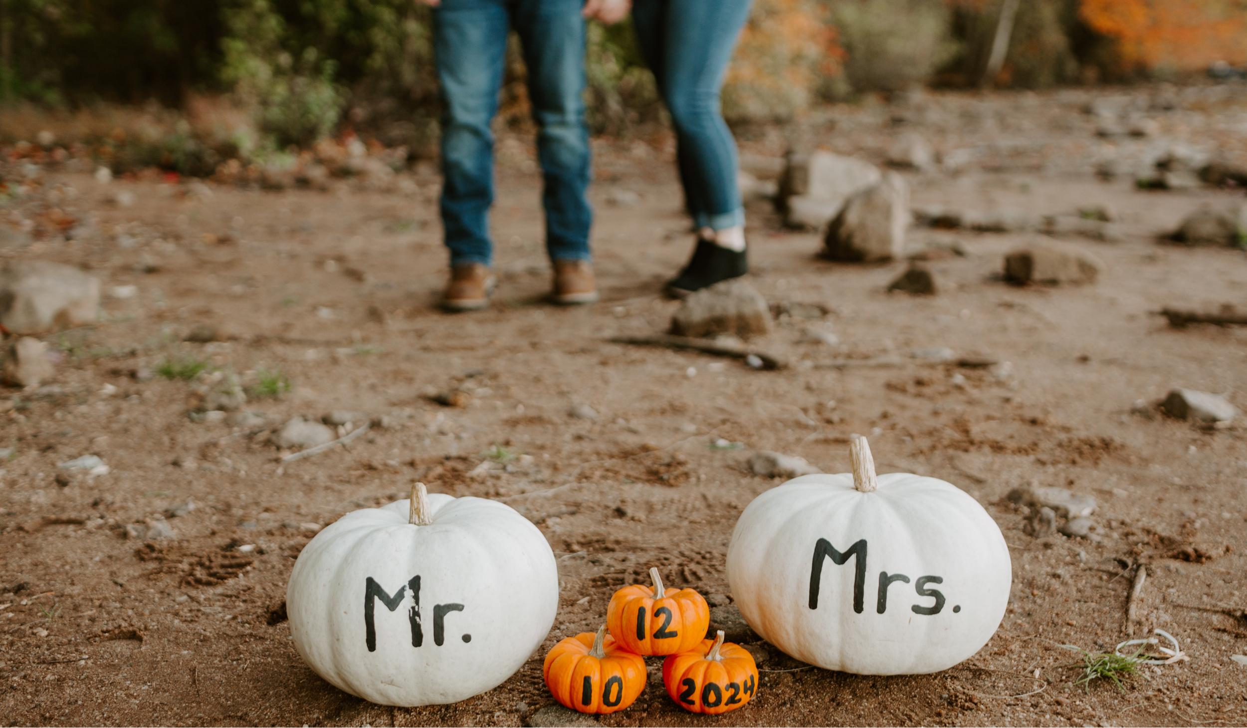 The Wedding Website of Sara Koppenhaver and Dylan Hill