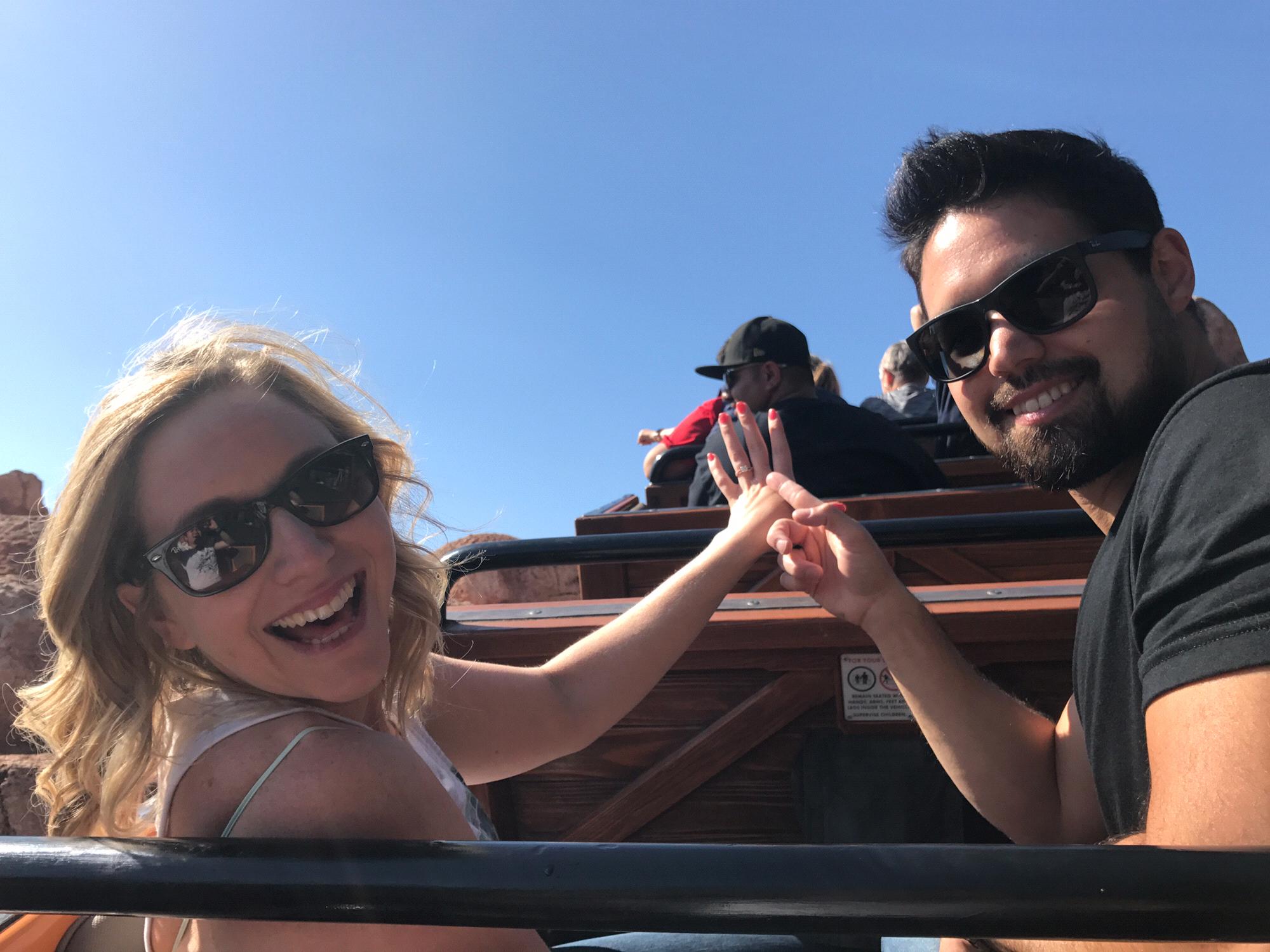 May 2017 - Disneyland (Proposal)