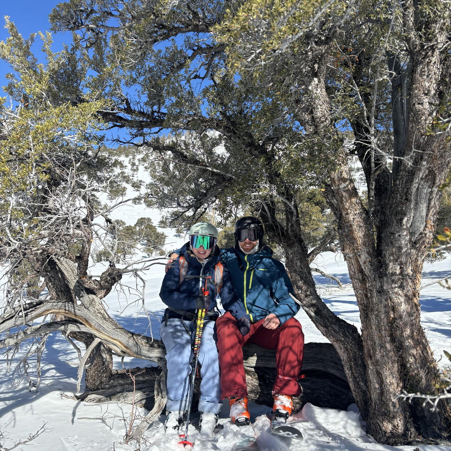 Ruby Mountains January 2025