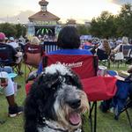 Live at The Plaza | Free Summer Concerts