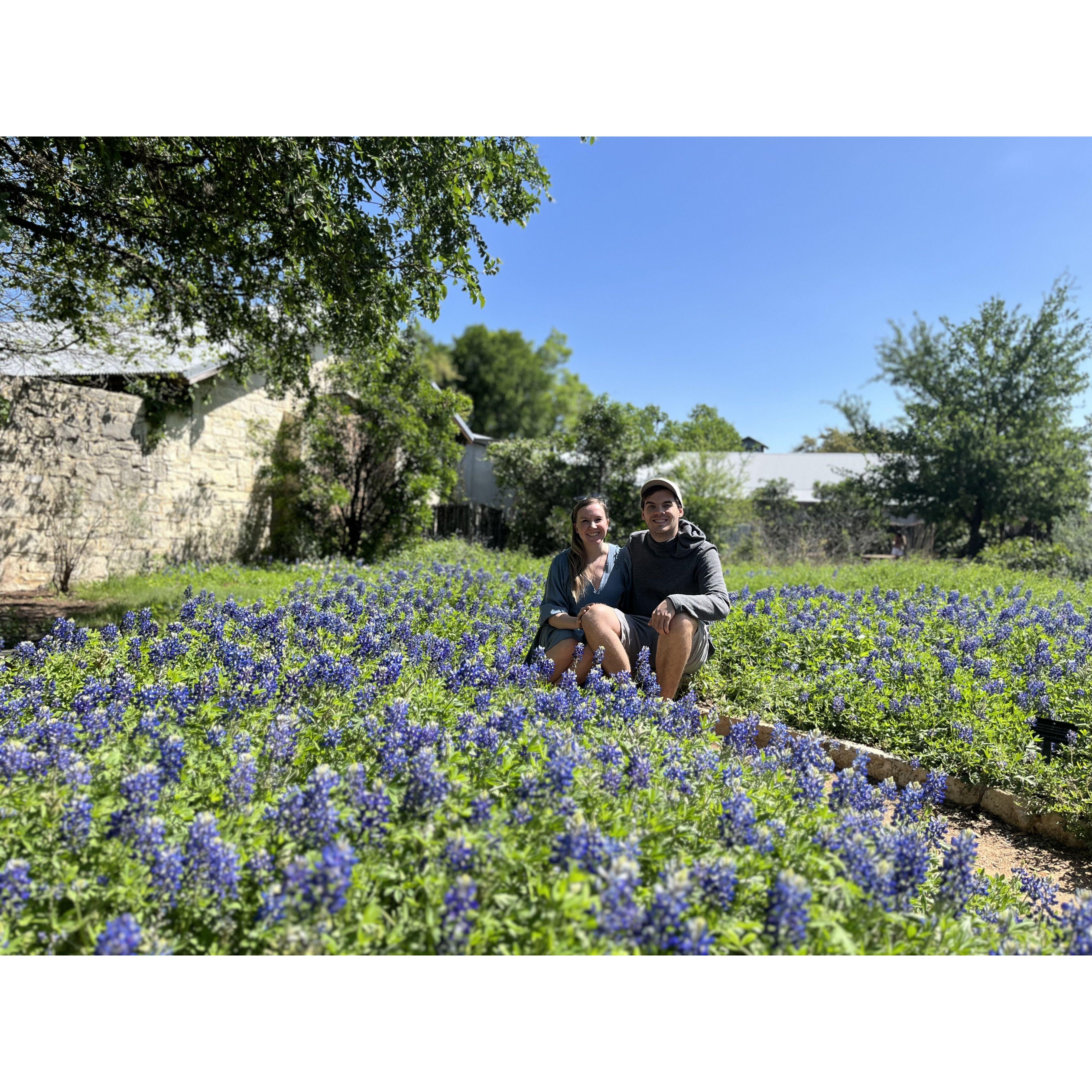 March 2023: Austin - Lady Bird Wildflower Center