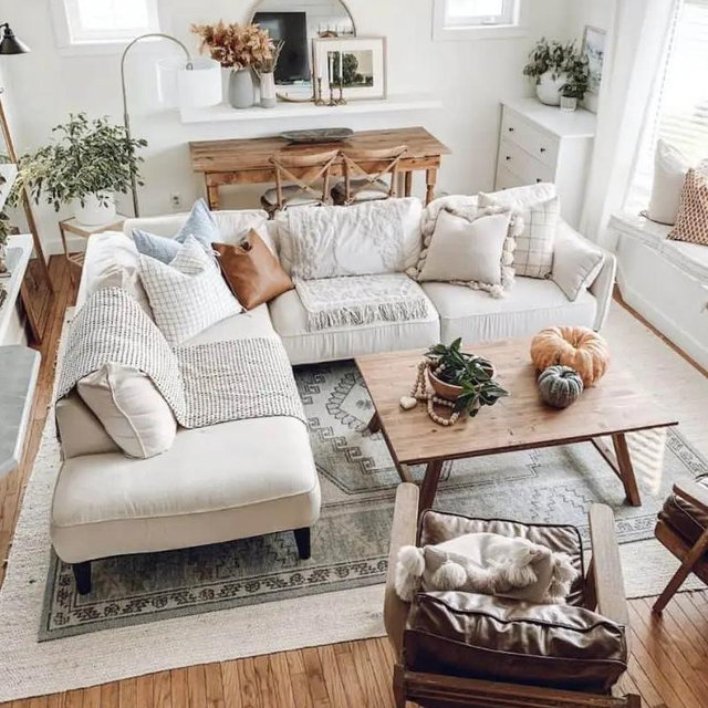 Living Room Couch
