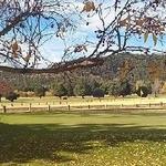 Payson Golf Course Inc