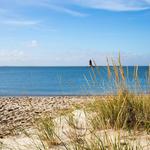 Cape Henlopen State Park