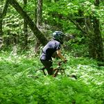 Biking