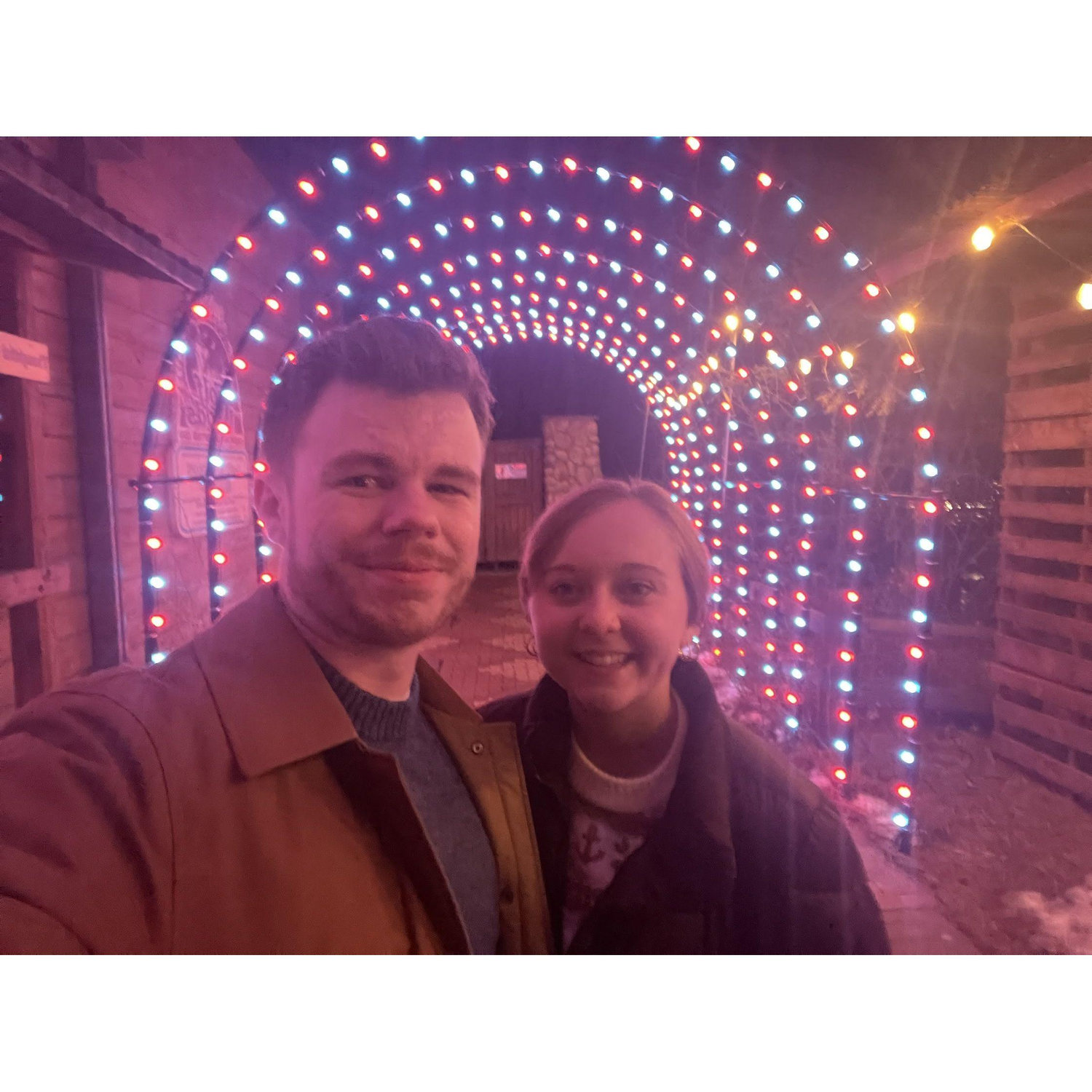 Another zoo night for Electric Safari! We just love the zoo! 🦓🎄✨