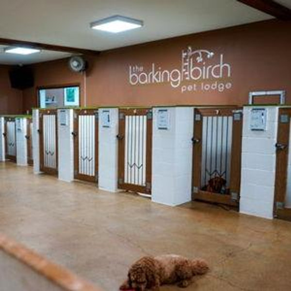 Pet Hotel For Our Wedding Weekend