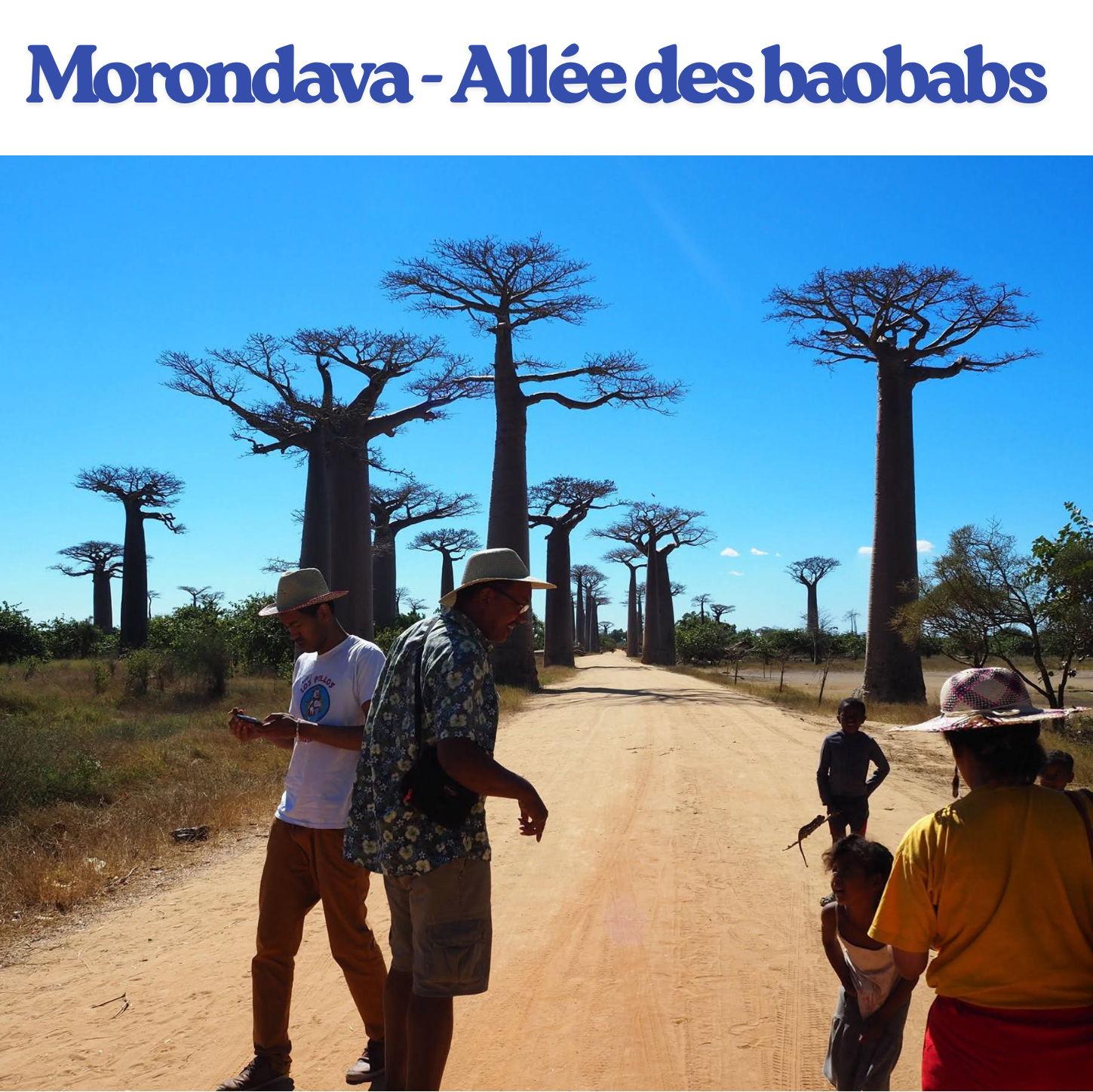 The most popular touristic attraction in Morondava is Alley of the Baobabs.  It is 690km from Antananarivo.