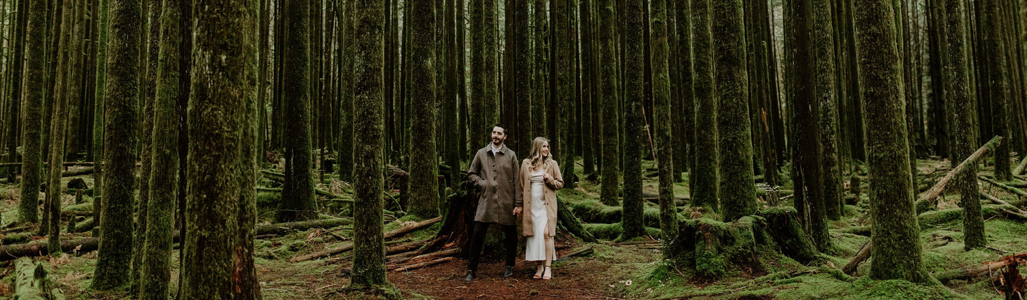 The Wedding Website of Sarah Blondia-MacLachlan and Tyler St Pierre