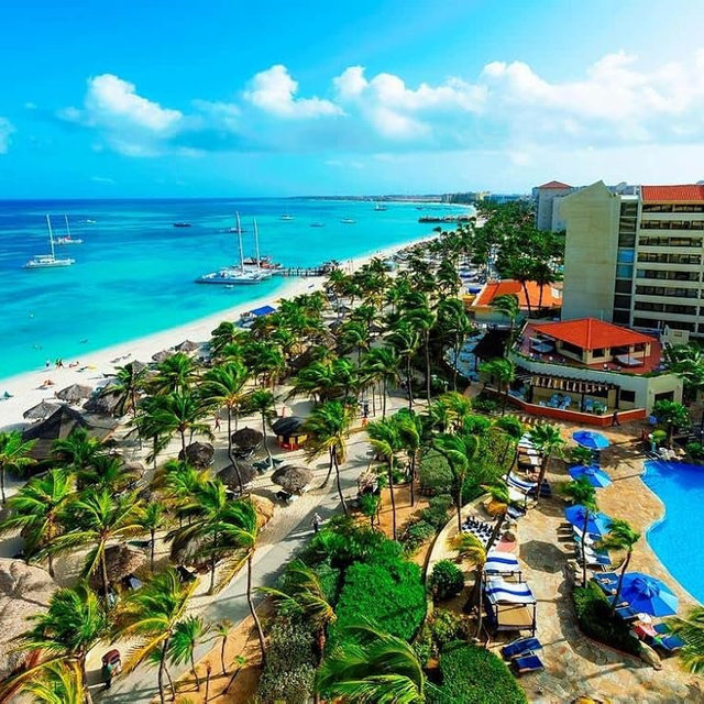 Palm Beach Aruba Jigsaw Puzzles 1000 Pieces for Adults - Large,Puzzles for Adults and Kids