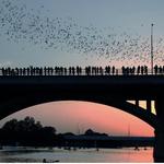 Congress Avenue Bridge