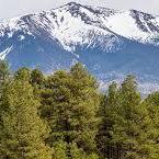 Flagstaff