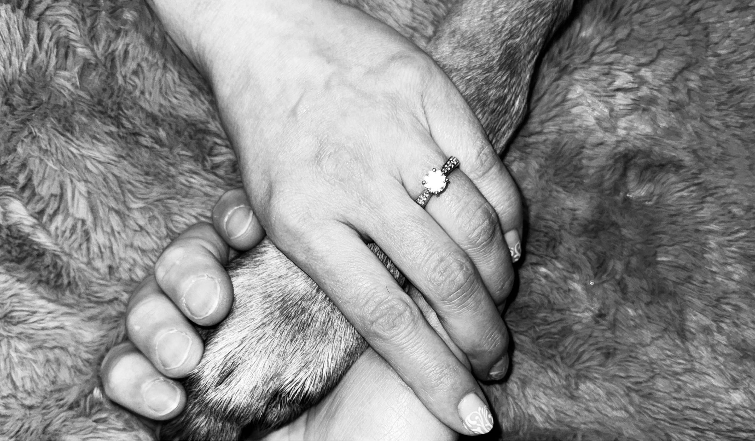 Hero Slideshow Image 0