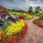 Minnesota Landscape Arboretum - Advance Reservations/Tickets Required