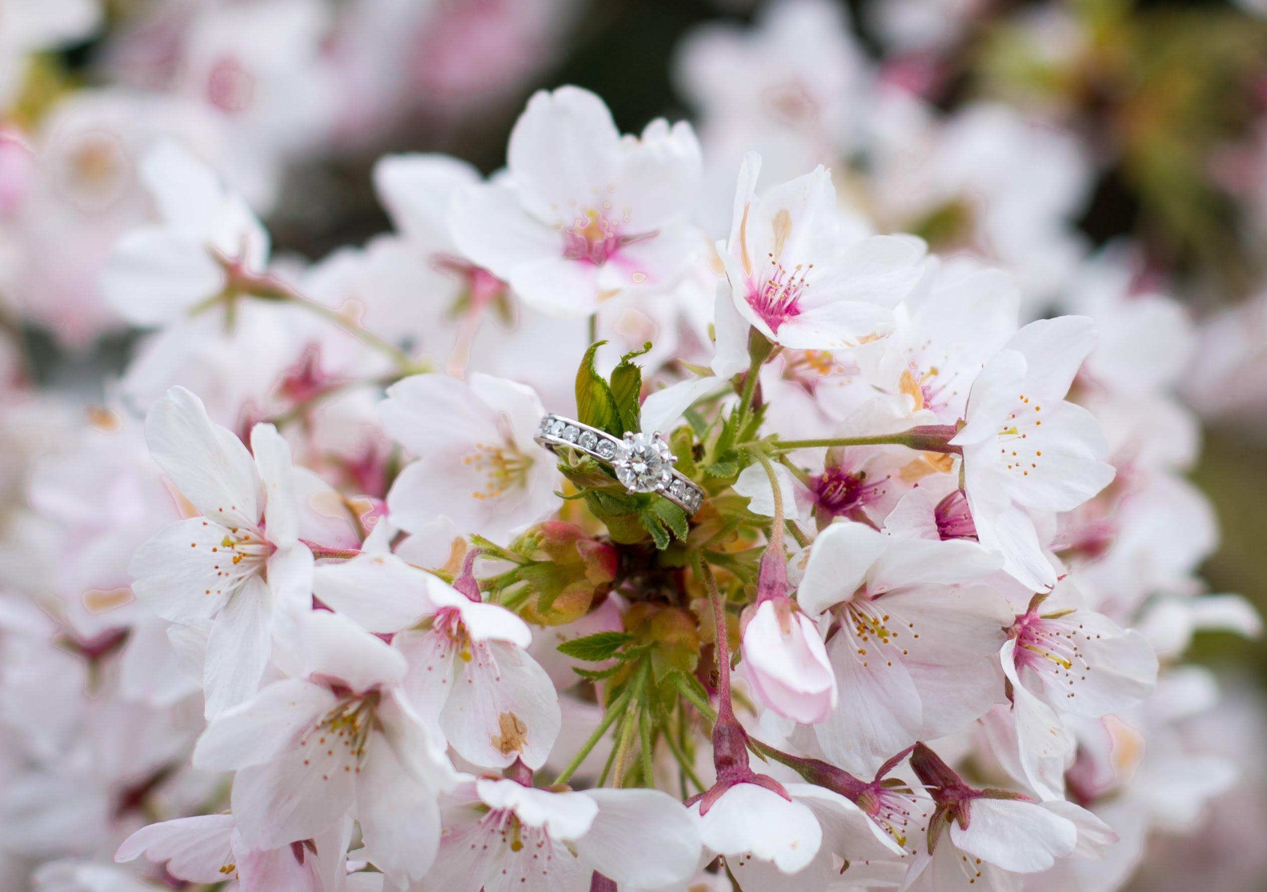 The Wedding Website of Brian Gong and Jordan Scott