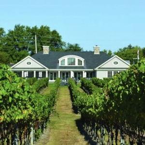 Wine Tasting For Two - Honeymoon