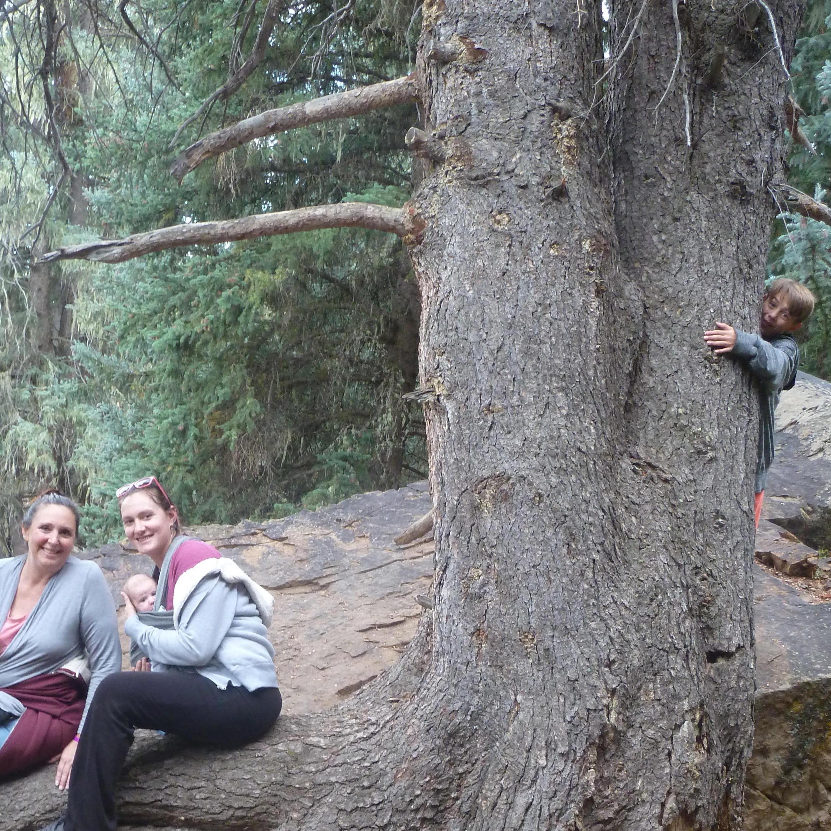 Arielle's second hike, with many more to come!