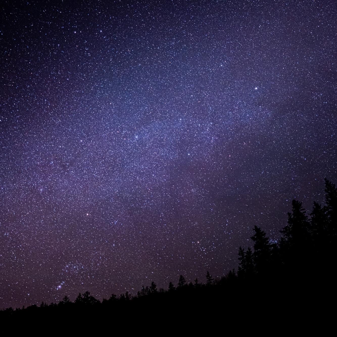 The stars during our proposal