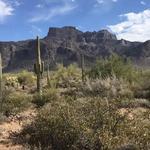 Goldmine Trail