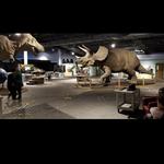 Don Harrington Discovery Center