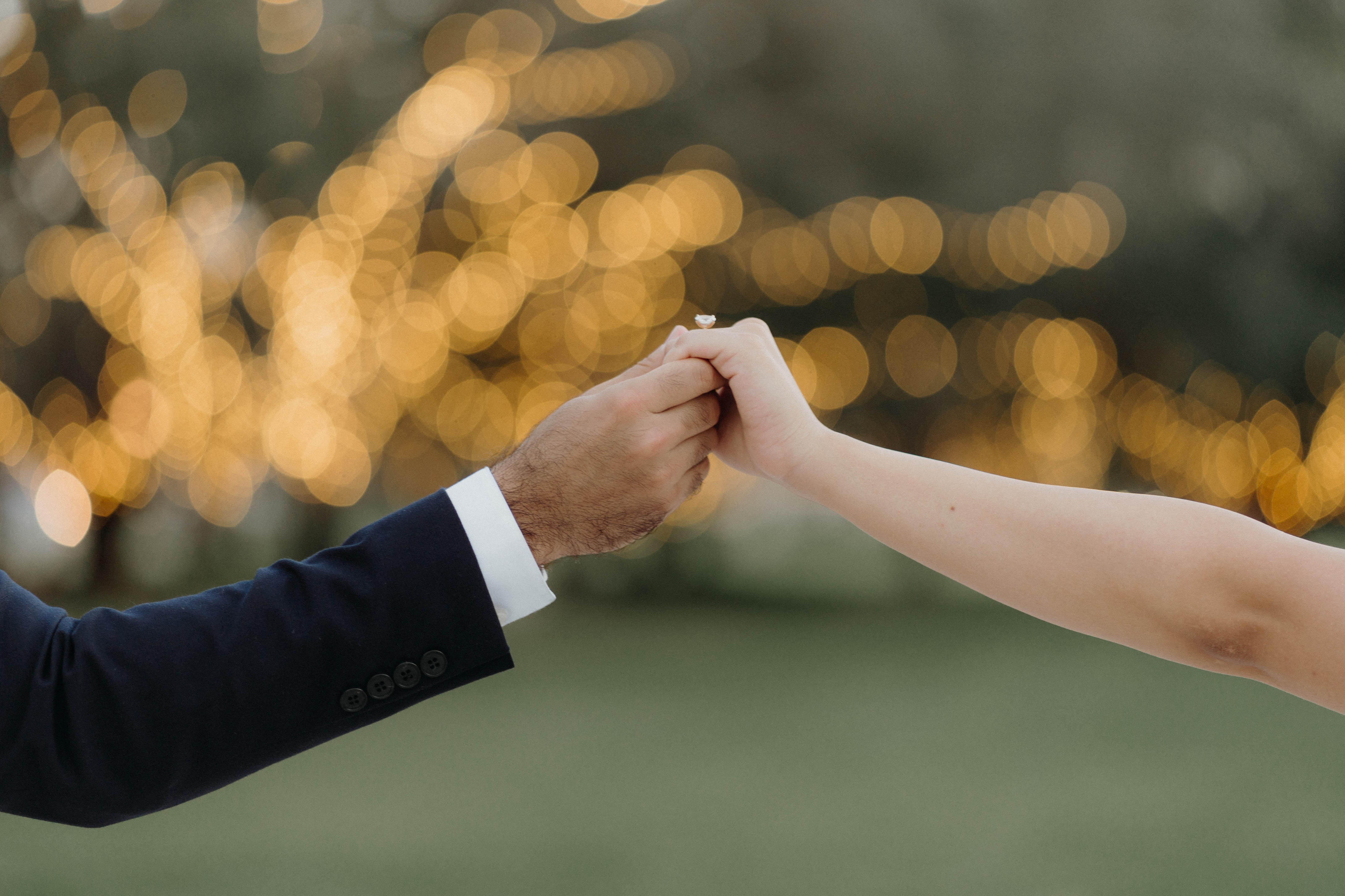 The Wedding Website of Jonathan Fakhry and Christy Mikhael