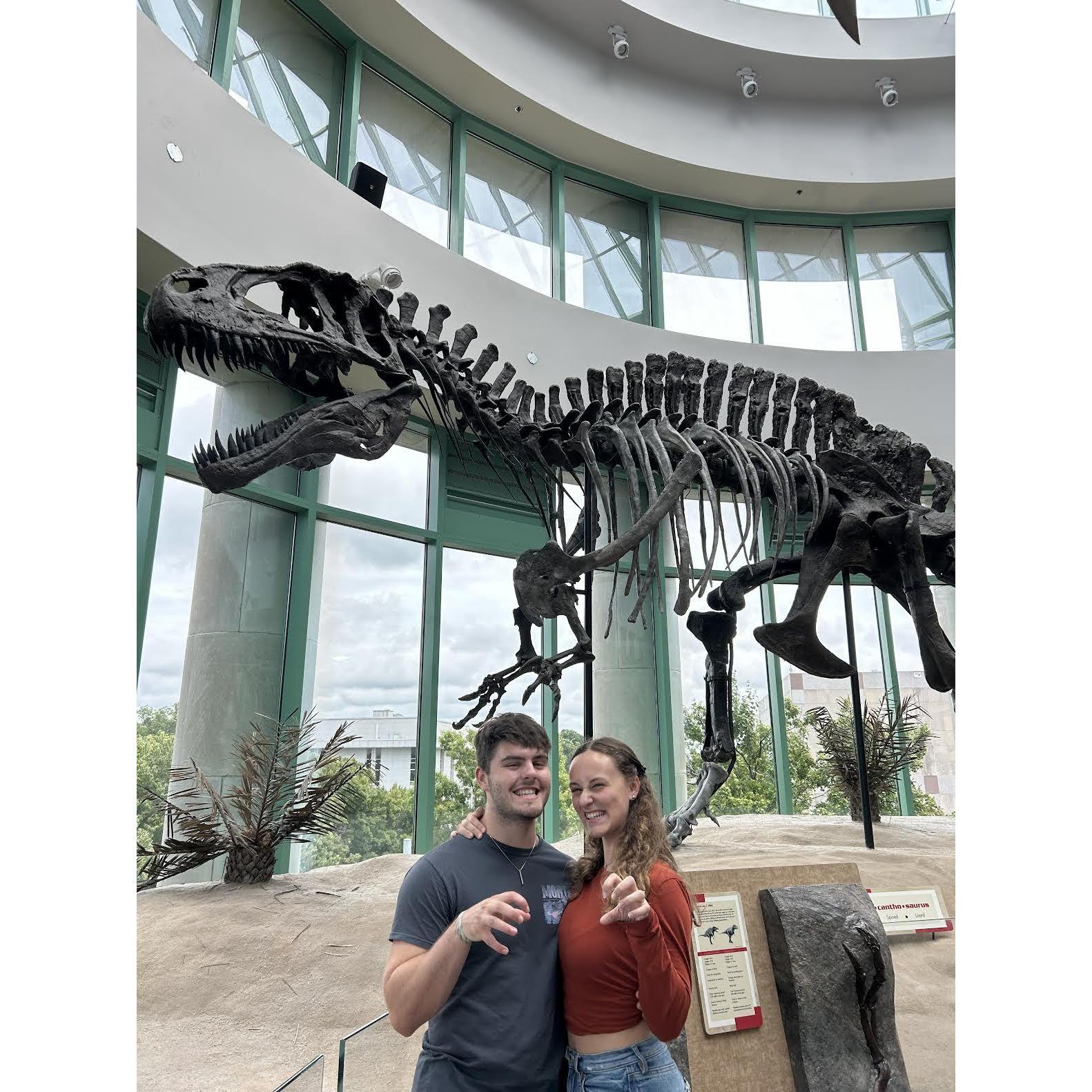 Our Dino impressions at the Natural History Museum!