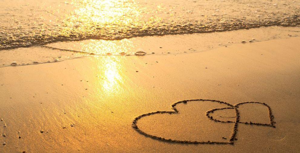 c118abd2-21b5-4143-9ee0-6f5370bfd065