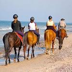 Horseback Riding