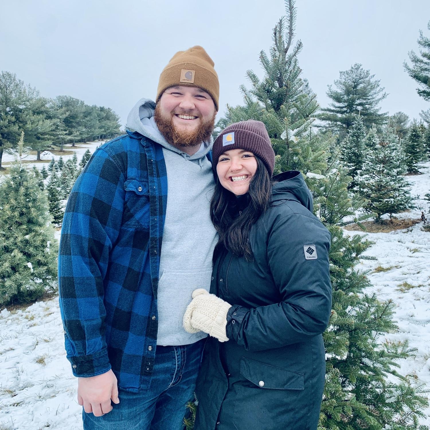 Christmas tree picking
