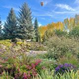 Yampa River Botanic Park
