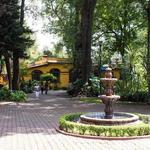 Coyoacán Neighborhood