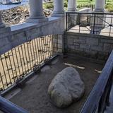 Plymouth Rock