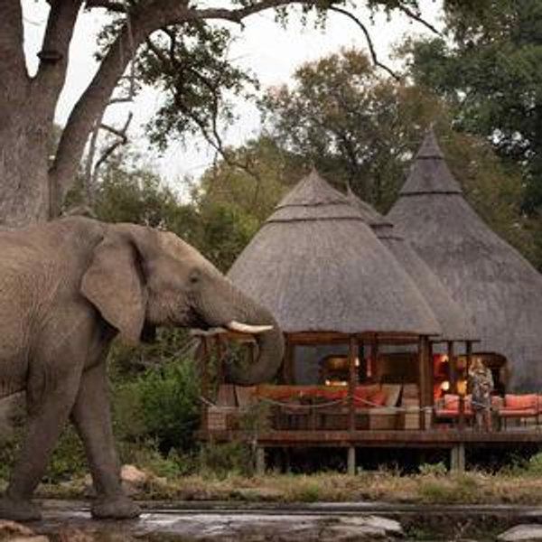 Kruger Honeymoon Fund