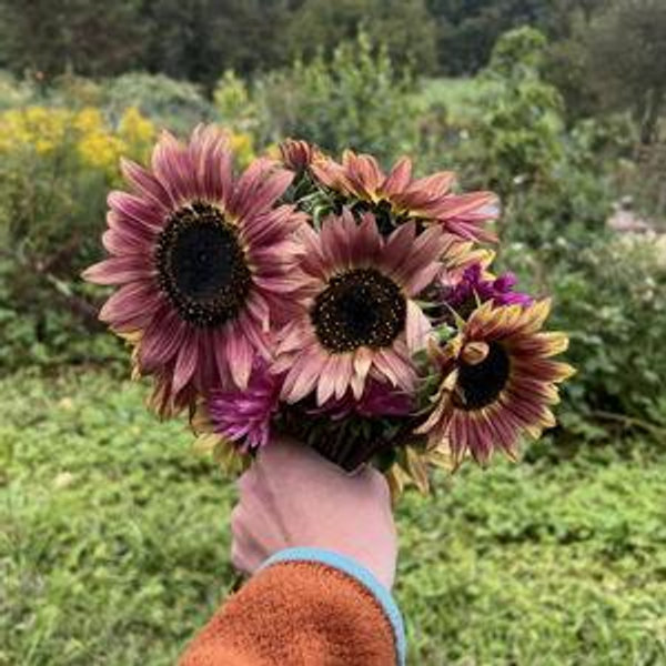 Home & Garden Projects