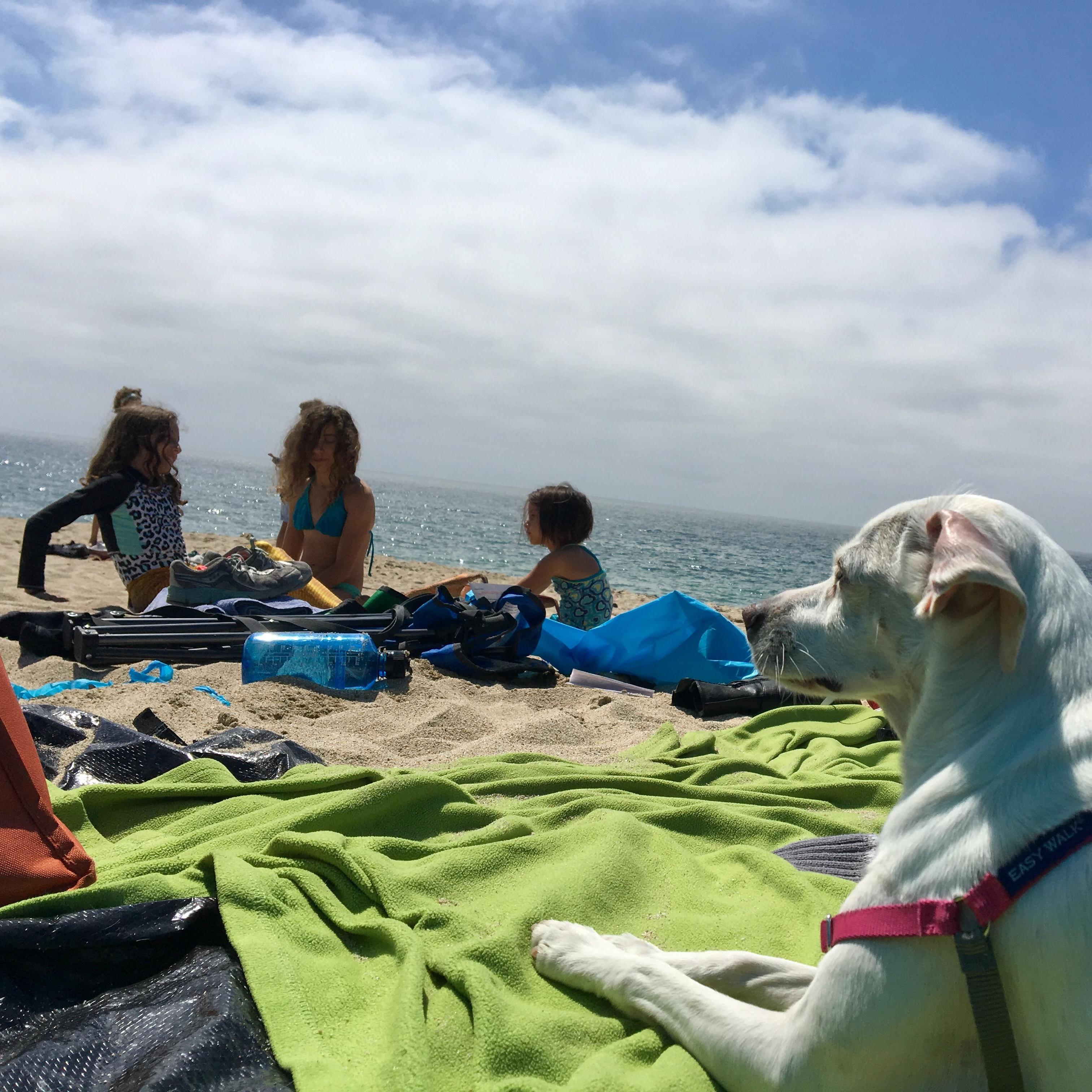 Our little monkeys...