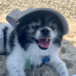 Benny's On The Beach