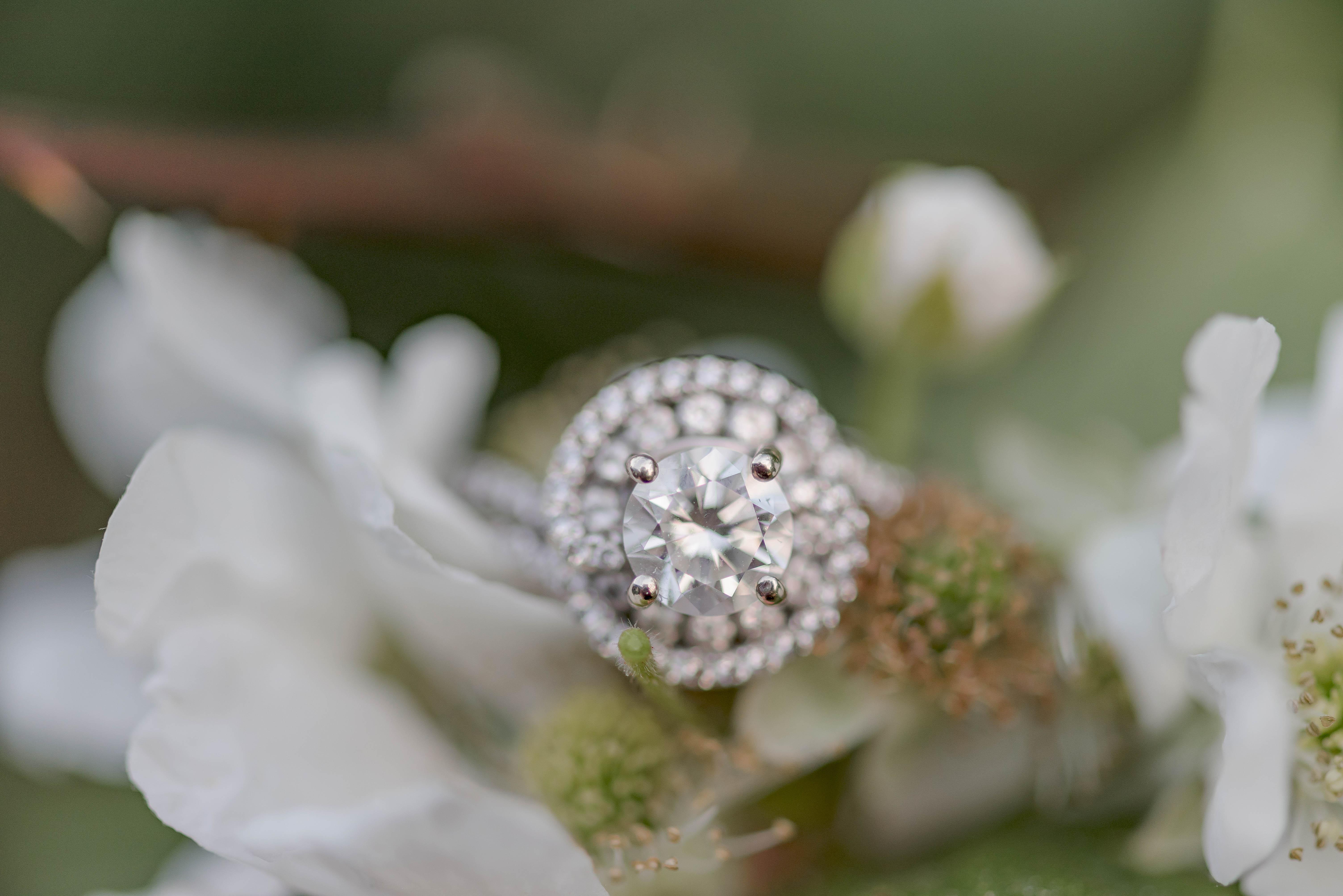 The Wedding Website of Kayla Miller and Bradley Schoener