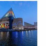 Baltimore National Aquarium