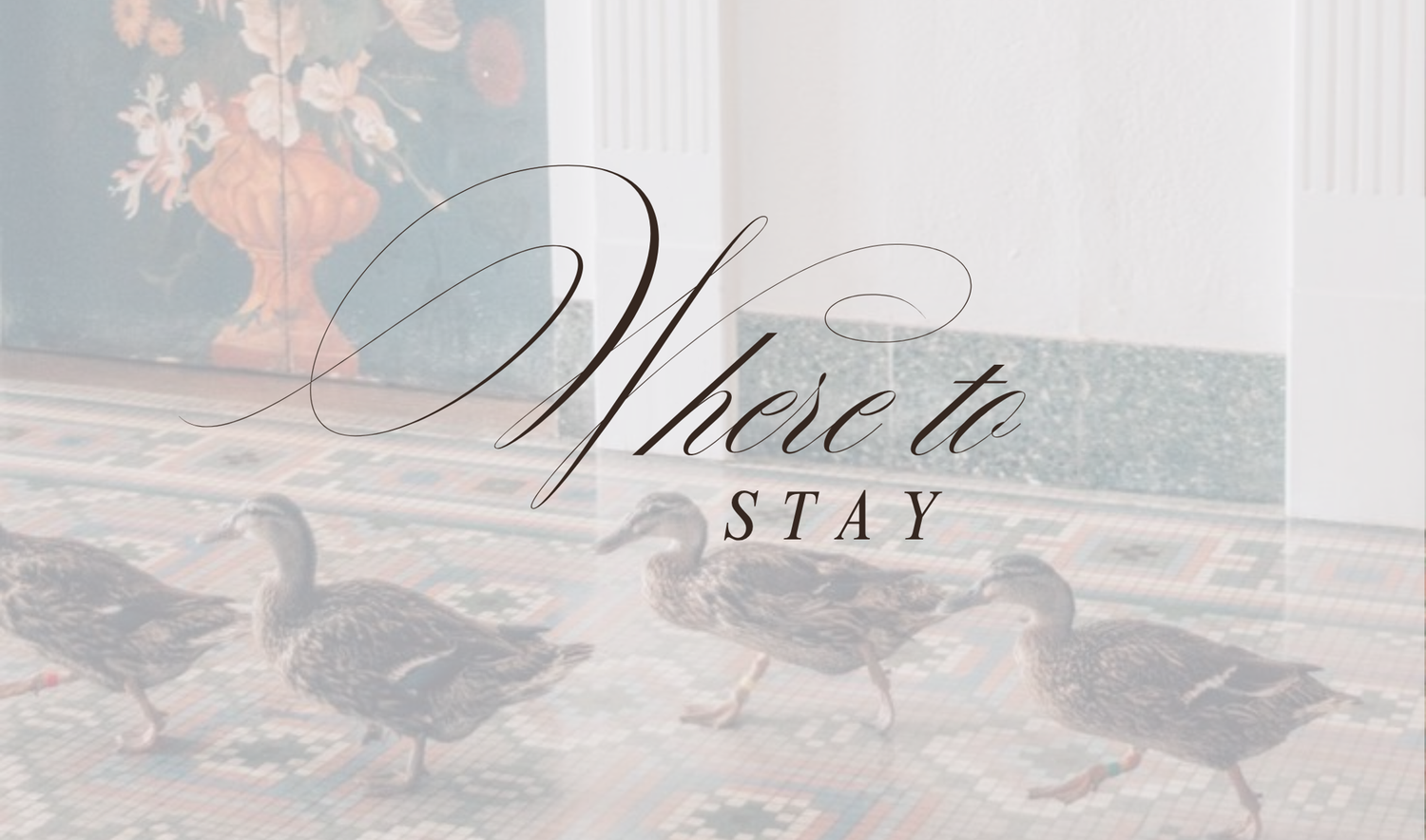 The Wedding Website of Josie Hydrick and Hooper Mattis