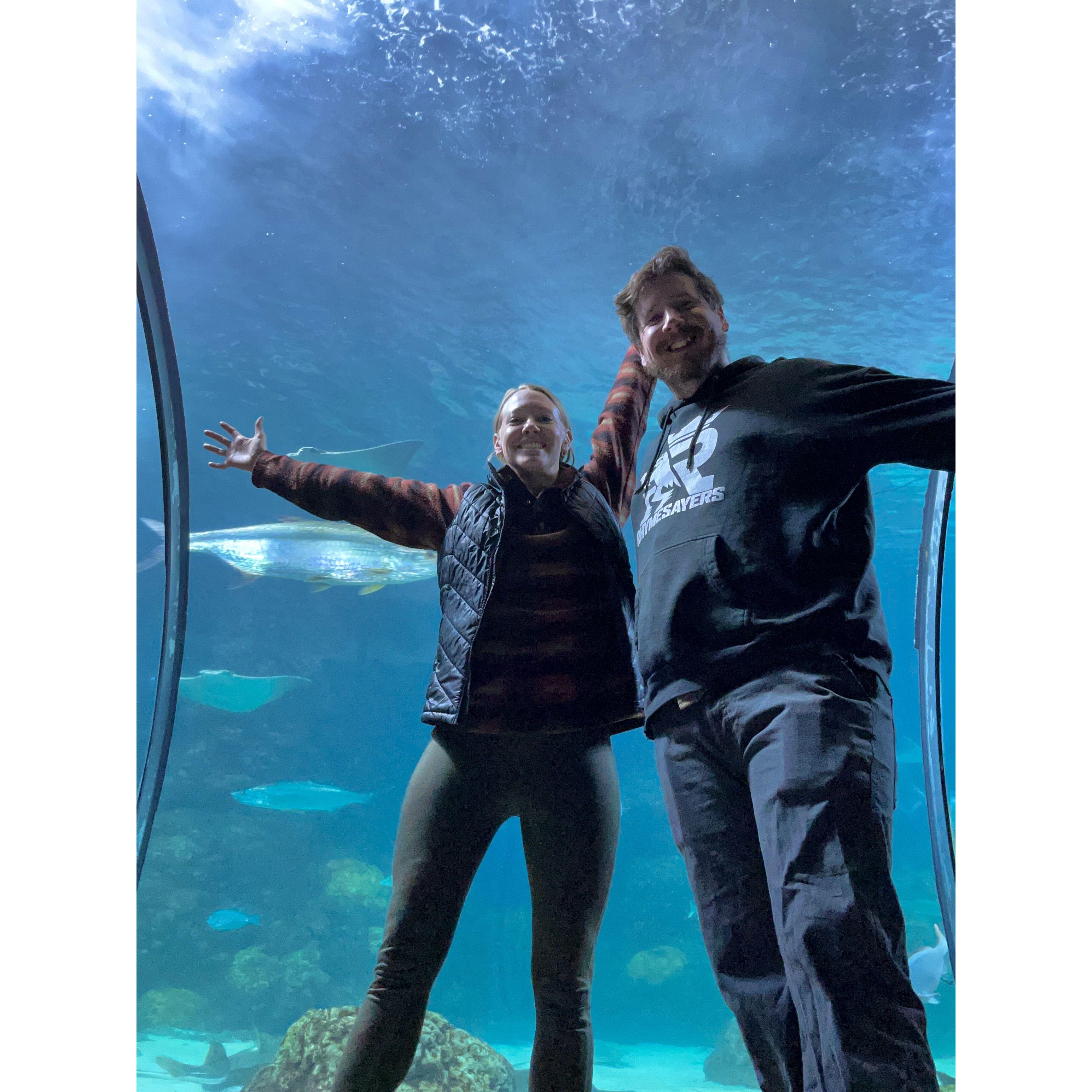 Valentine's Day at the Denver Aquarium