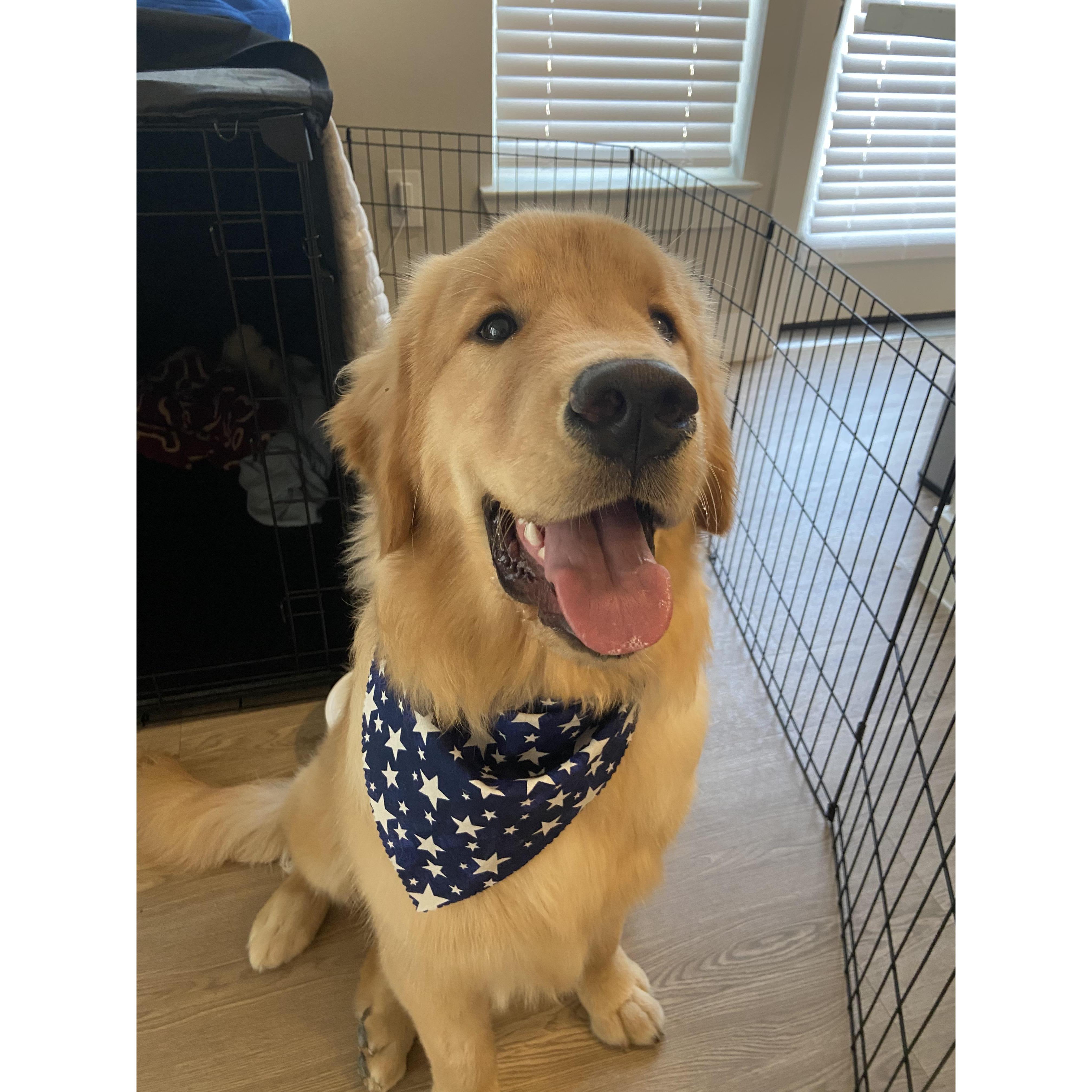 Calvert at 6 months old!