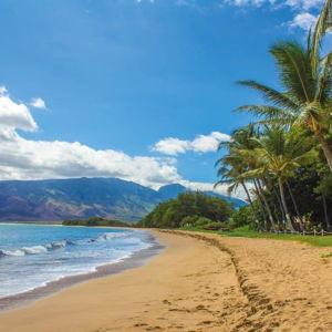 Maui Honeymoon fund