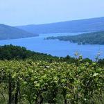 Keuka Lake Wine Trail