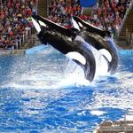 Sea World Main Entrance