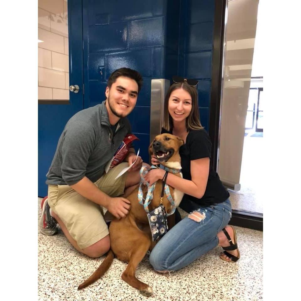 The day we added Lively to our little family.