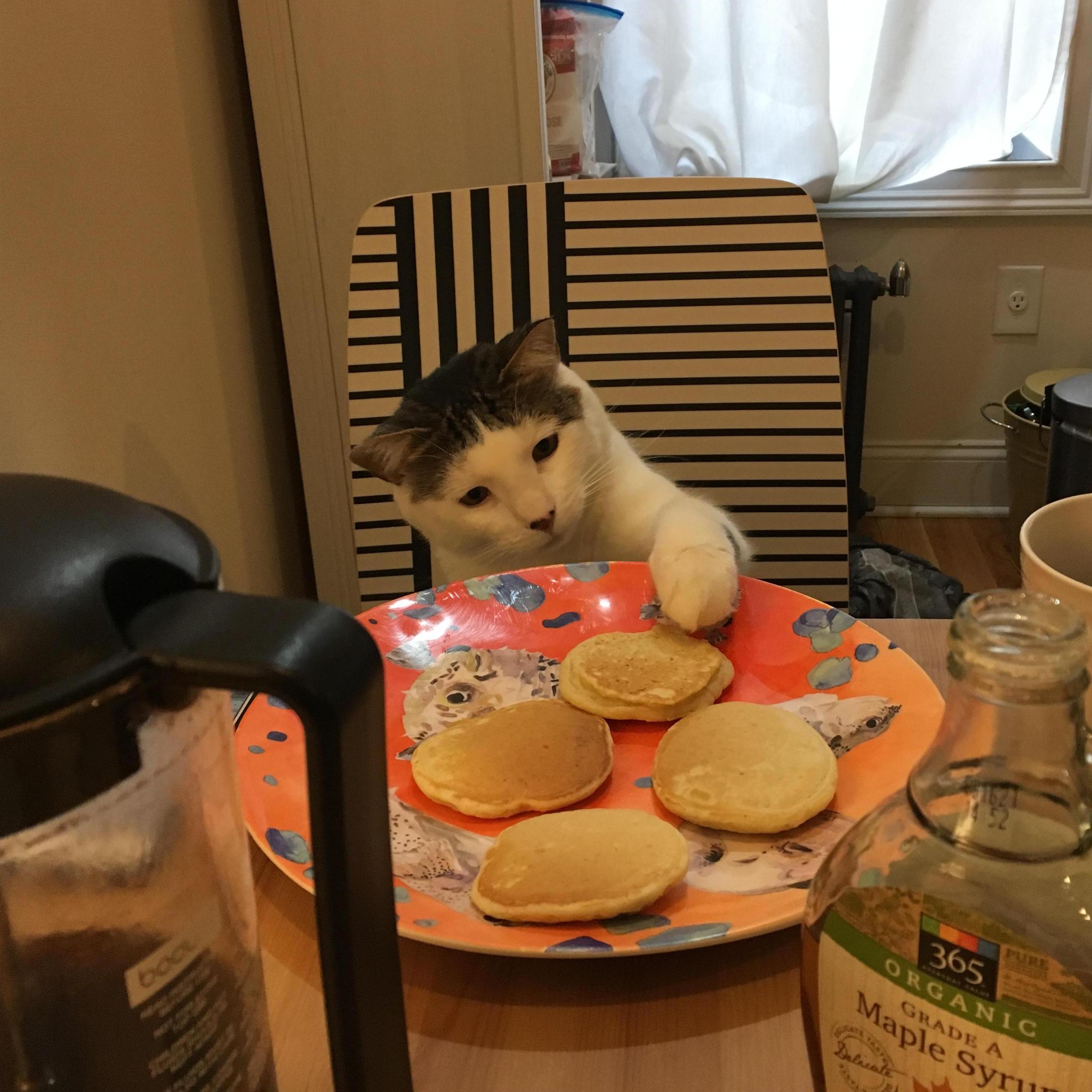 Breakfast time at home.