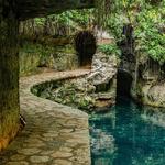 Cenotes Hacienda Mucuyché