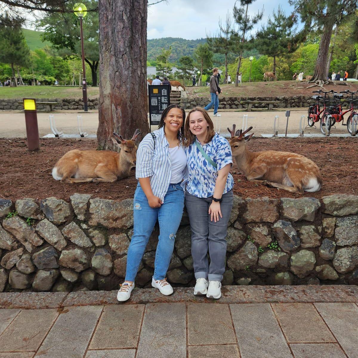Deer in Japan, May 2025